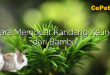 Cara Membuat Kandang Kelinci dari Bambu