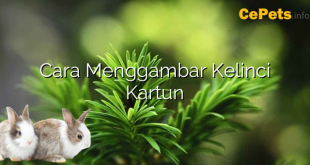 Cara Menggambar Kelinci Kartun