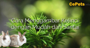 Cara Menggambar Kelinci dengan Mudah dan Santai